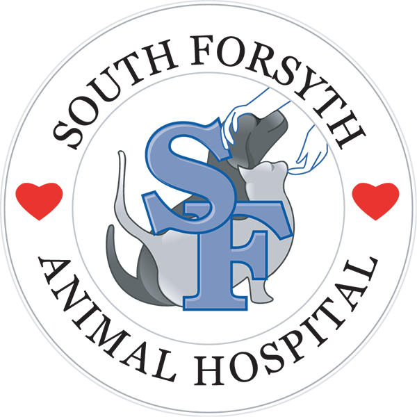 South Forsyth Animal Hospital